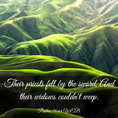 Picture 03 - Psalms 78:64 WEB - Their priests fell by the sword, And their widows - Bible Verse Picture