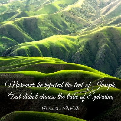 Picture 03 - Psalms 78:67 WEB - Moreover he rejected the tent of Joseph, And - Bible Verse Picture