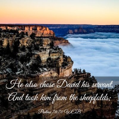 Picture 03 - Psalms 78:70 WEB - He also chose David his servant, And took him - Bible Verse Picture