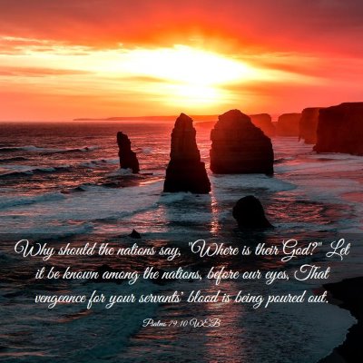 Picture 03 - Psalms 79:10 WEB - Why should the nations say, 