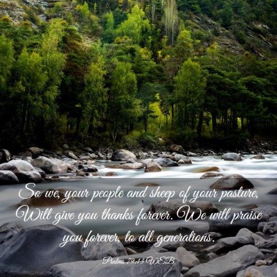 Picture 03 - Psalms 79:13 WEB - So we, your people and sheep of your pasture, - Bible Verse Picture