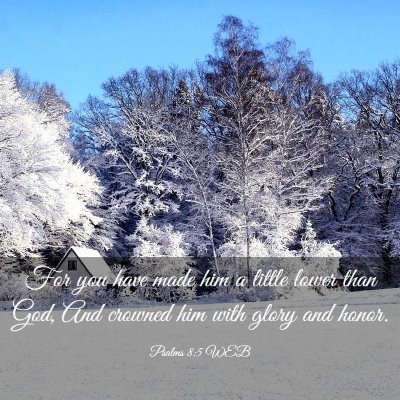 Picture 03 - Psalms 8:5 WEB - For you have made him a little lower than God, - Bible Verse Picture