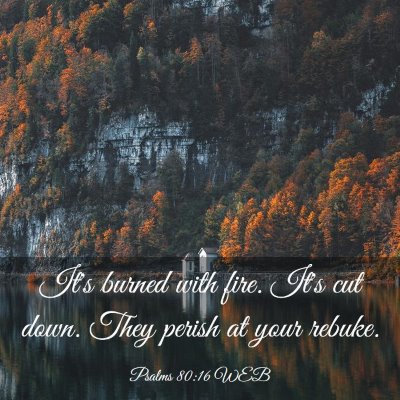 Picture 03 - Psalms 80:16 WEB - It's burned with fire. It's cut down. They perish - Bible Verse Picture