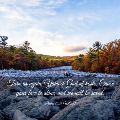 Picture 03 - Psalms 80:19 WEB - Turn us again, Yahweh God of hosts. Cause your - Bible Verse Picture