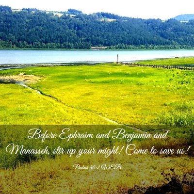 Picture 03 - Psalms 80:2 WEB - Before Ephraim and Benjamin and Manasseh, stir up - Bible Verse Picture