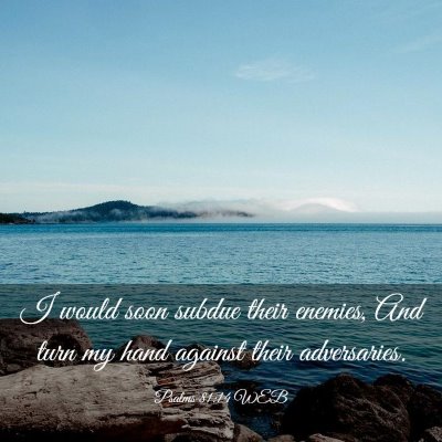 Picture 03 - Psalms 81:14 WEB - I would soon subdue their enemies, And turn my - Bible Verse Picture