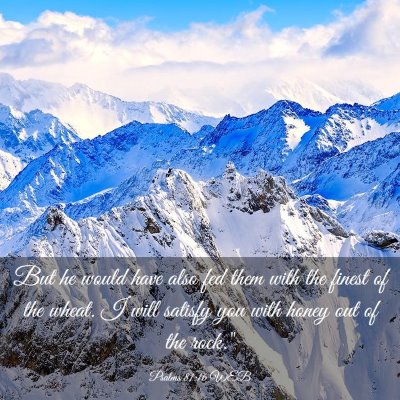 Picture 03 - Psalms 81:16 WEB - But he would have also fed them with the finest - Bible Verse Picture