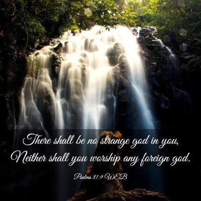 Picture 03 - Psalms 81:9 WEB - There shall be no strange god in you, Neither - Bible Verse Picture