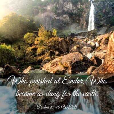 Picture 03 - Psalms 83:10 WEB - Who perished at Endor, Who became as dung for the - Bible Verse Picture