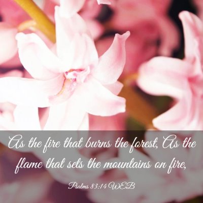 Picture 03 - Psalms 83:14 WEB - As the fire that burns the forest, As the flame - Bible Verse Picture