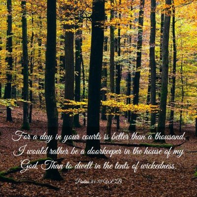 Picture 03 - Psalms 84:10 WEB - For a day in your courts is better than a - Bible Verse Picture