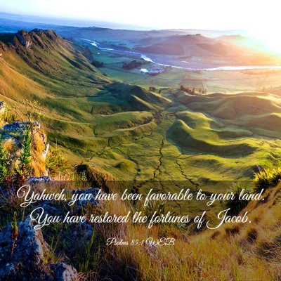 Picture 03 - Psalms 85:1 WEB - Yahweh, you have been favorable to your land. You - Bible Verse Picture