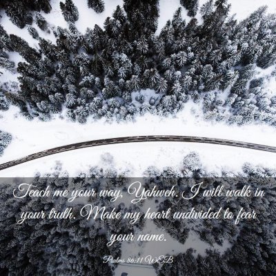 Picture 03 - Psalms 86:11 WEB - Teach me your way, Yahweh. I will walk in your - Bible Verse Picture
