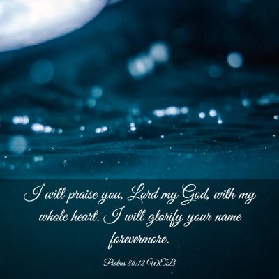 Picture 03 - Psalms 86:12 WEB - I will praise you, Lord my God, with my whole - Bible Verse Picture