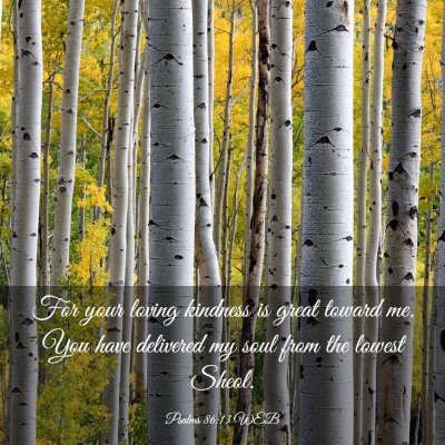 Picture 03 - Psalms 86:13 WEB - For your loving kindness is great toward me. You - Bible Verse Picture