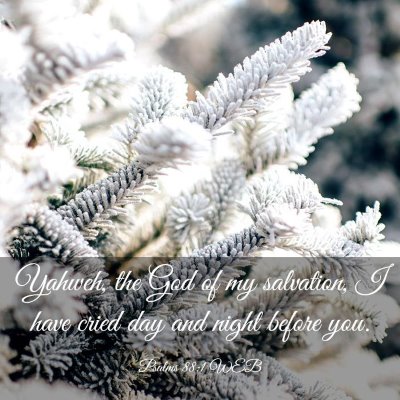 Picture 03 - Psalms 88:1 WEB - Yahweh, the God of my salvation, I have cried day - Bible Verse Picture