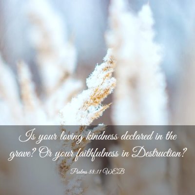 Picture 03 - Psalms 88:11 WEB - Is your loving kindness declared in the grave? Or - Bible Verse Picture