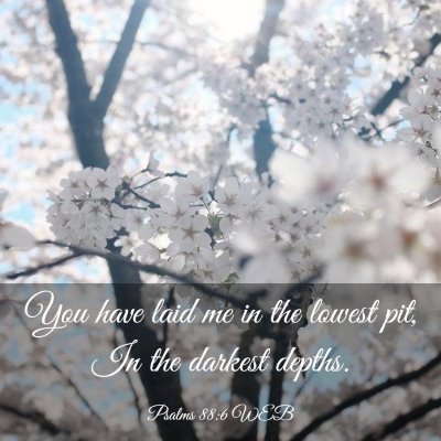 Picture 03 - Psalms 88:6 WEB - You have laid me in the lowest pit, In the - Bible Verse Picture