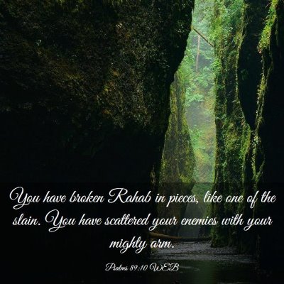 Picture 03 - Psalms 89:10 WEB - You have broken Rahab in pieces, like one of the - Bible Verse Picture