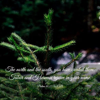 Picture 03 - Psalms 89:12 WEB - The north and the south, you have created them. - Bible Verse Picture