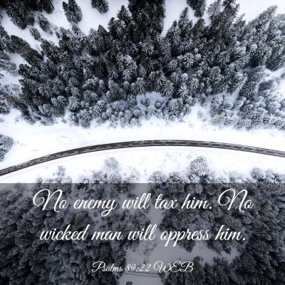 Picture 03 - Psalms 89:22 WEB - No enemy will tax him. No wicked man will oppress - Bible Verse Picture