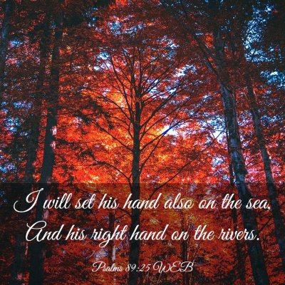 Picture 03 - Psalms 89:25 WEB - I will set his hand also on the sea, And his - Bible Verse Picture