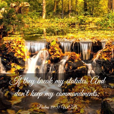 Picture 03 - Psalms 89:31 WEB - If they break my statutes, And don't keep my - Bible Verse Picture