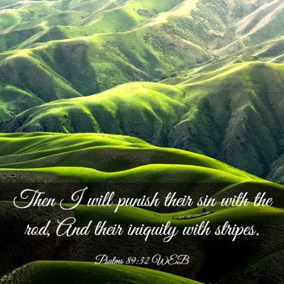 Picture 03 - Psalms 89:32 WEB - Then I will punish their sin with the rod, And - Bible Verse Picture