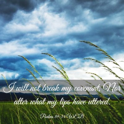 Picture 03 - Psalms 89:34 WEB - I will not break my covenant, Nor alter what my - Bible Verse Picture