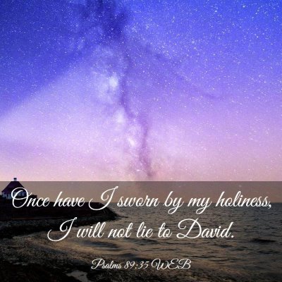 Picture 03 - Psalms 89:35 WEB - Once have I sworn by my holiness, I will not lie - Bible Verse Picture