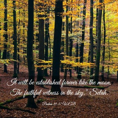 Picture 03 - Psalms 89:37 WEB - It will be established forever like the moon, The - Bible Verse Picture