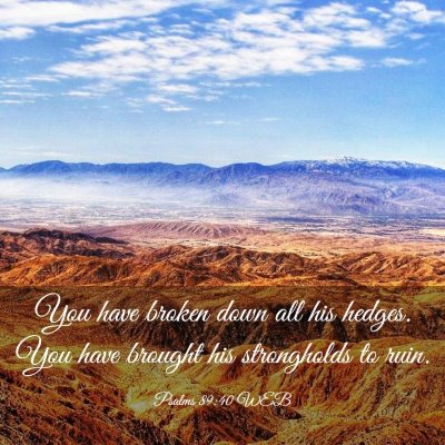 Picture 03 - Psalms 89:40 WEB - You have broken down all his hedges. You have - Bible Verse Picture