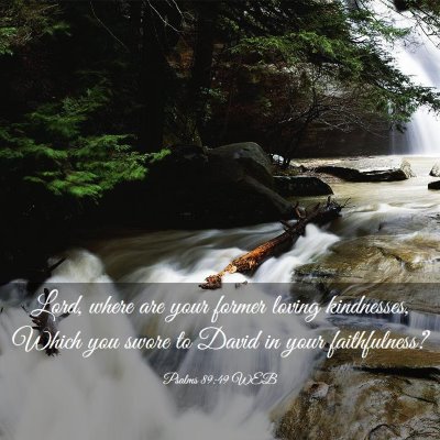 Picture 03 - Psalms 89:49 WEB - Lord, where are your former loving kindnesses, - Bible Verse Picture