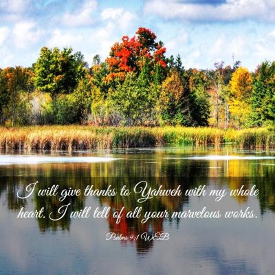 Picture 03 - Psalms 9:1 WEB - I will give thanks to Yahweh with my whole heart. - Bible Verse Picture