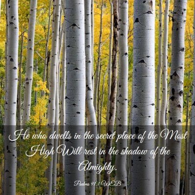 Picture 03 - Psalms 91:1 WEB - He who dwells in the secret place of the Most - Bible Verse Picture