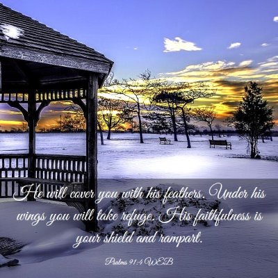 Picture 03 - Psalms 91:4 WEB - He will cover you with his feathers. Under his - Bible Verse Picture