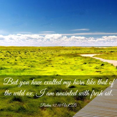 Picture 03 - Psalms 92:10 WEB - But you have exalted my horn like that of the - Bible Verse Picture