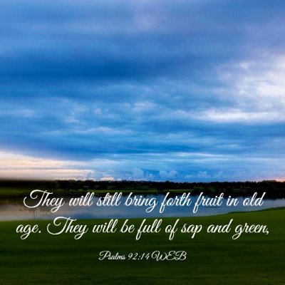 Picture 03 - Psalms 92:14 WEB - They will still bring forth fruit in old age. - Bible Verse Picture