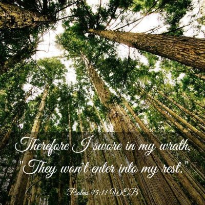 Picture 03 - Psalms 95:11 WEB - Therefore I swore in my wrath, 
