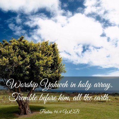 Picture 03 - Psalms 96:9 WEB - Worship Yahweh in holy array. Tremble before him, - Bible Verse Picture