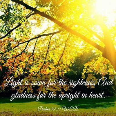Picture 03 - Psalms 97:11 WEB - Light is sown for the righteous, And gladness for - Bible Verse Picture