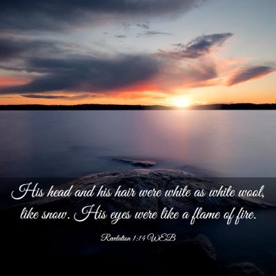Picture 03 - Revelation 1:14 WEB - His head and his hair were white as white wool, - Bible Verse Picture