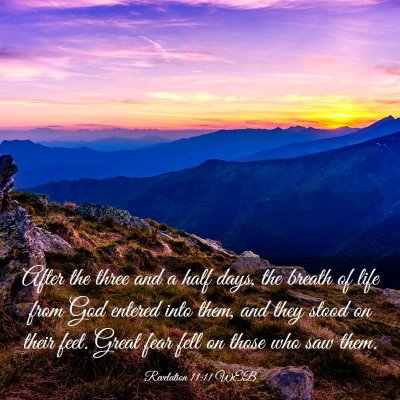 Picture 03 - Revelation 11:11 WEB - After the three and a half days, the breath of - Bible Verse Picture
