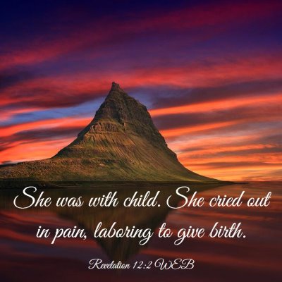 Picture 03 - Revelation 12:2 WEB - She was with child. She cried out in pain, - Bible Verse Picture