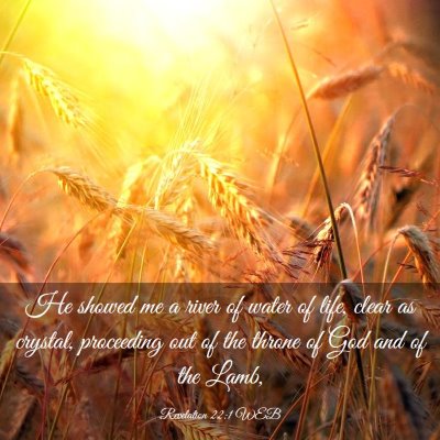 Picture 03 - Revelation 22:1 WEB - He showed me a river of water of life, clear as - Bible Verse Picture