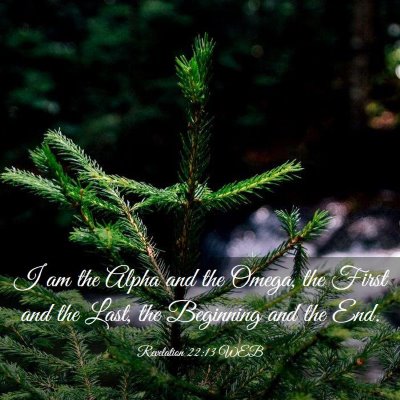Picture 03 - Revelation 22:13 WEB - I am the Alpha and the Omega, the First and the - Bible Verse Picture