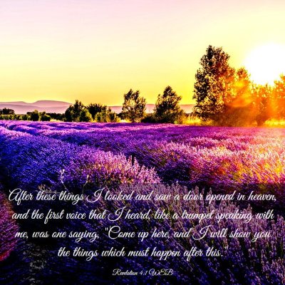 Picture 03 - Revelation 4:1 WEB - After these things I looked and saw a door opened - Bible Verse Picture
