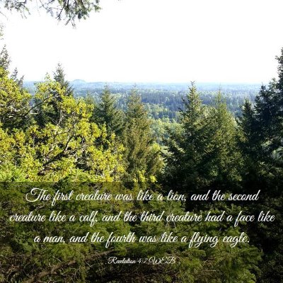 Picture 03 - Revelation 4:7 WEB - The first creature was like a lion, and the - Bible Verse Picture