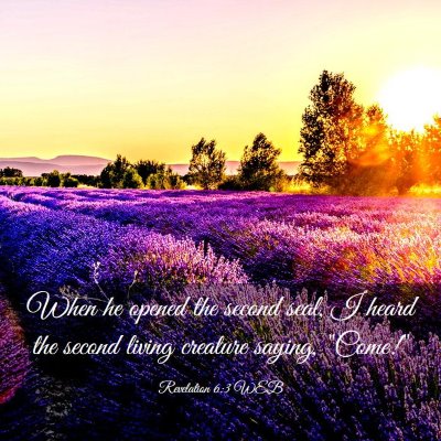 Picture 03 - Revelation 6:3 WEB - When he opened the second seal, I heard the - Bible Verse Picture