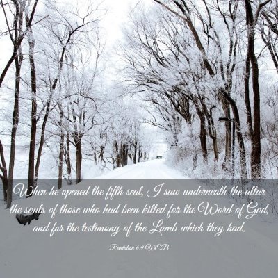 Picture 03 - Revelation 6:9 WEB - When he opened the fifth seal, I saw underneath - Bible Verse Picture